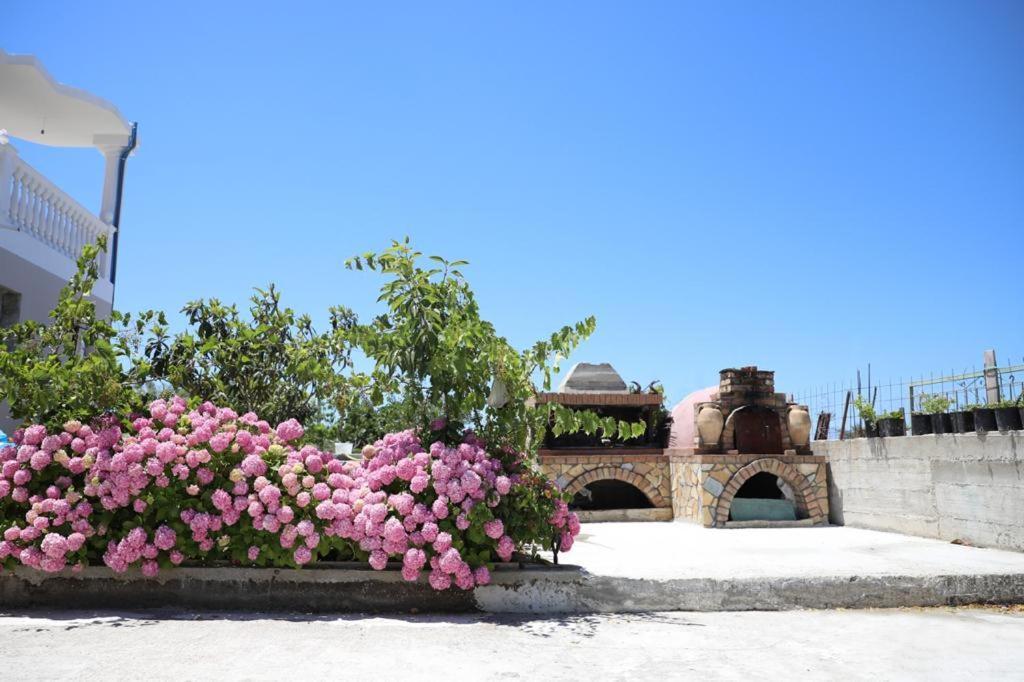 Guest House Narta Vlorë 外观 照片