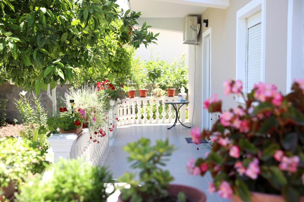 Guest House Narta Vlorë 外观 照片