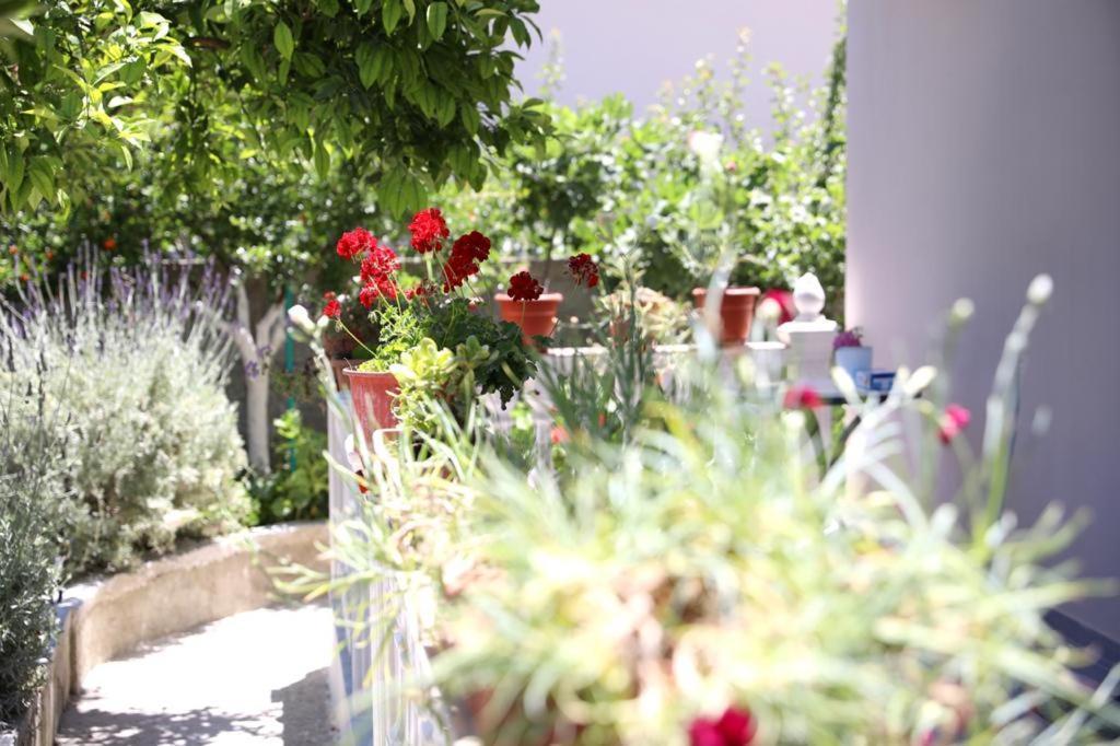 Guest House Narta Vlorë 外观 照片