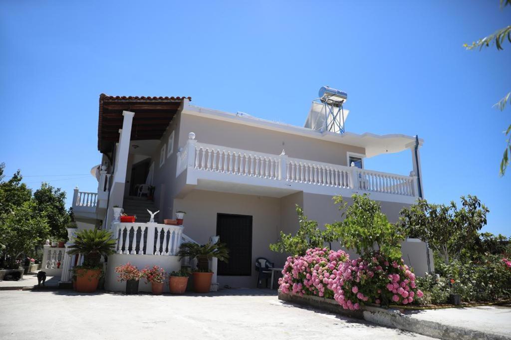 Guest House Narta Vlorë 外观 照片