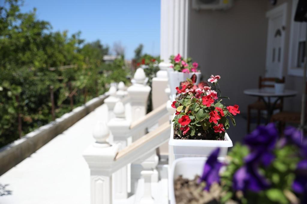 Guest House Narta Vlorë 外观 照片