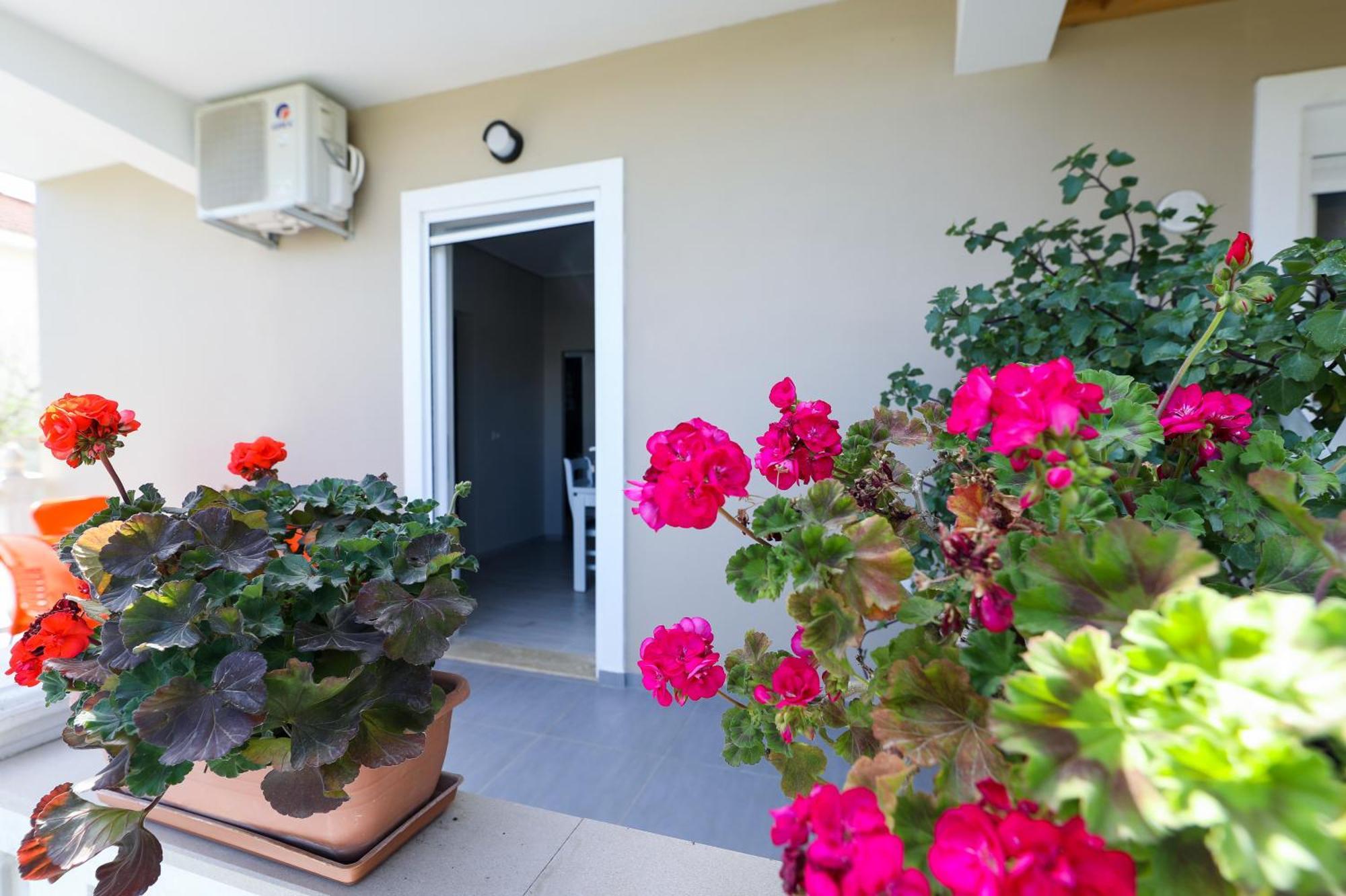 Guest House Narta Vlorë 外观 照片